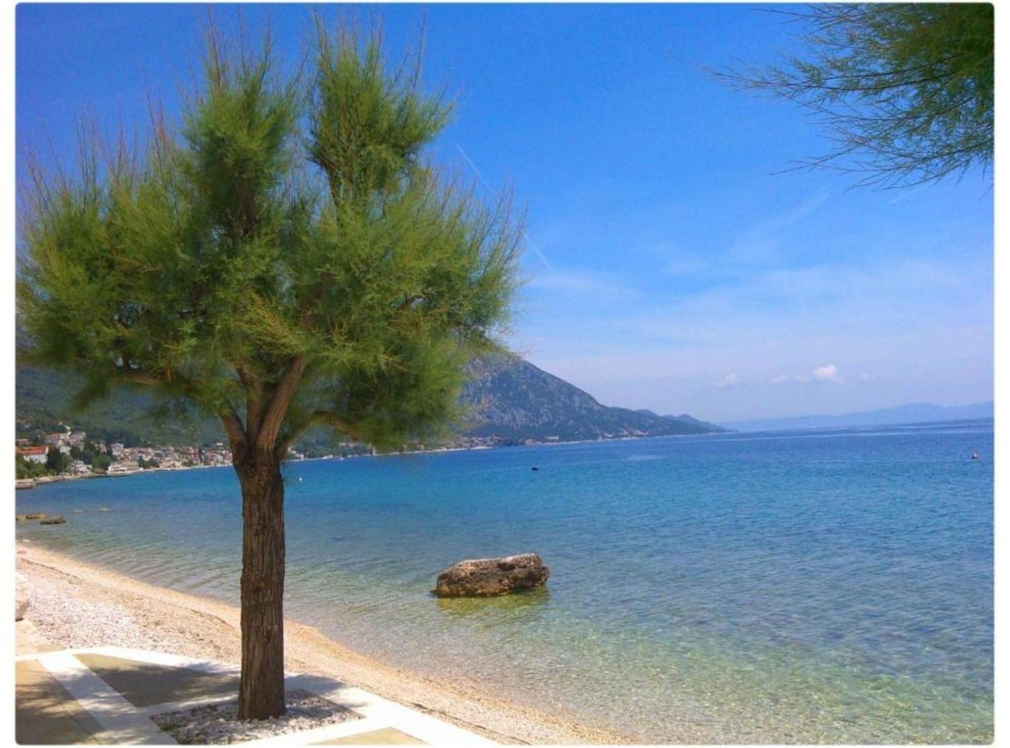 Hotel Pansion Villa Antonio Orebić Oda fotoğraf